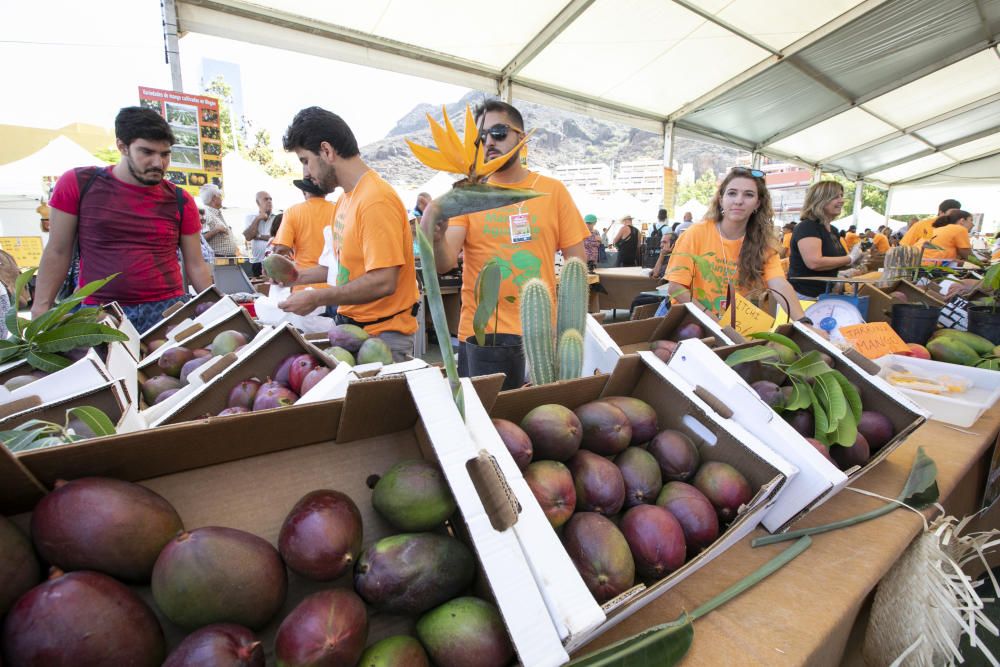 02.09.18. Mogán, Gran Canaria. Feria del Mango ...