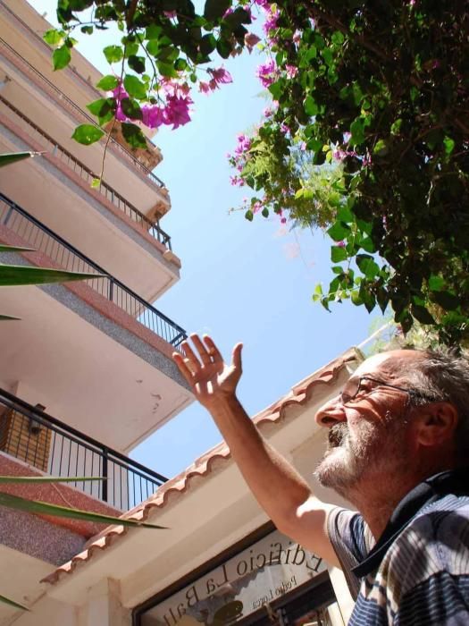 El Ayuntamiento de Torrevieja ha anunciado la adjudicación del derribo del edificio La Ballena más de diez años después de que se ordenara su desalojo por peligro de ruina