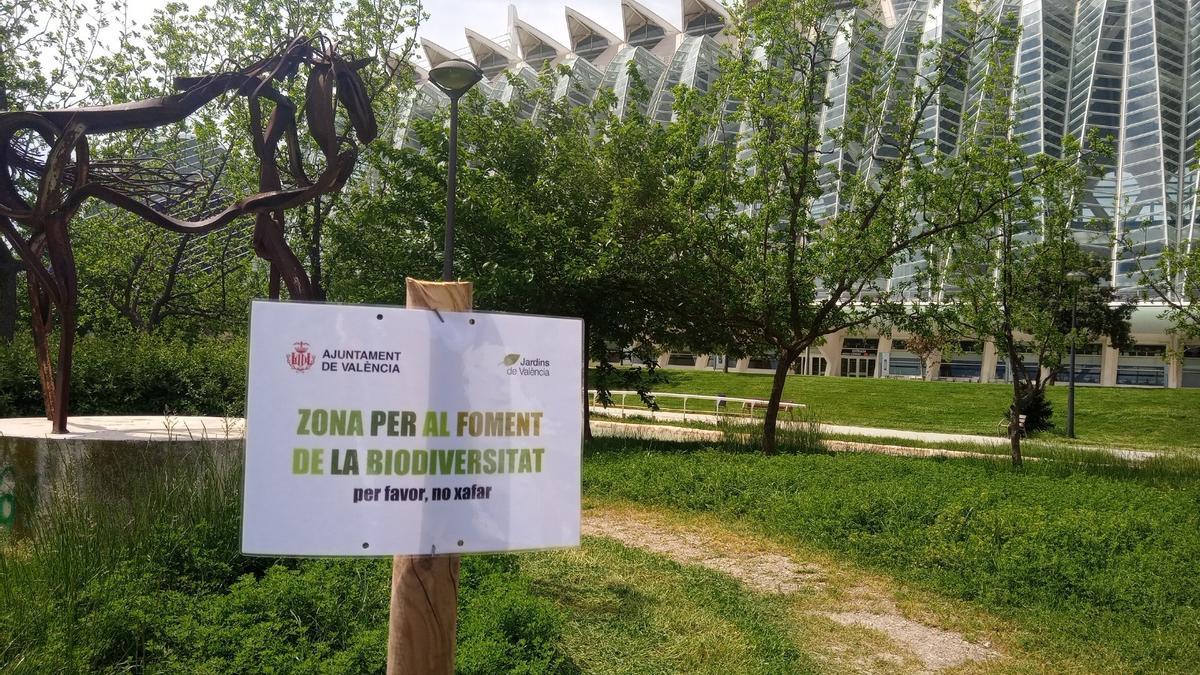 Zona de biodiversidad en el parque del Túria