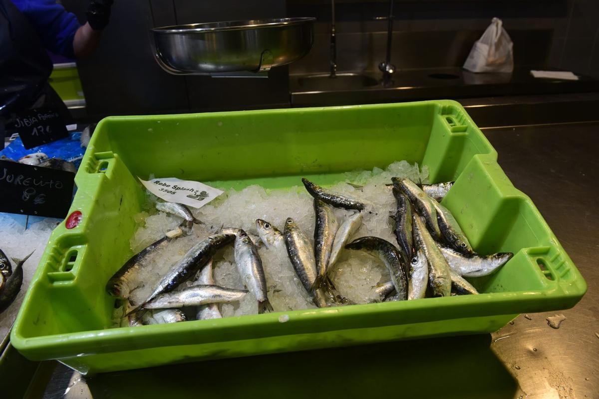 sardinas