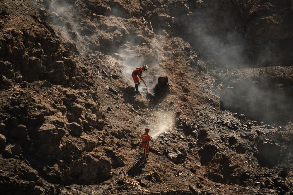 Los efectivos no han cesado en la misión de extinguir el fuego.