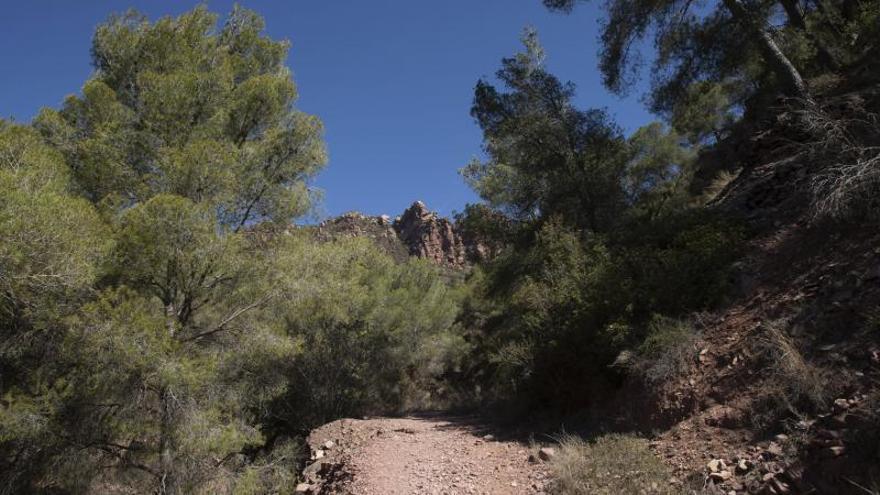 La Comunitat Valenciana, en alerta máxima por incendios el día del eclipse