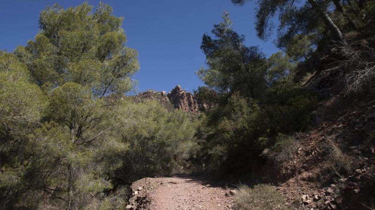 Un sendero hacia al Garbí en la Sierra Calderona.
