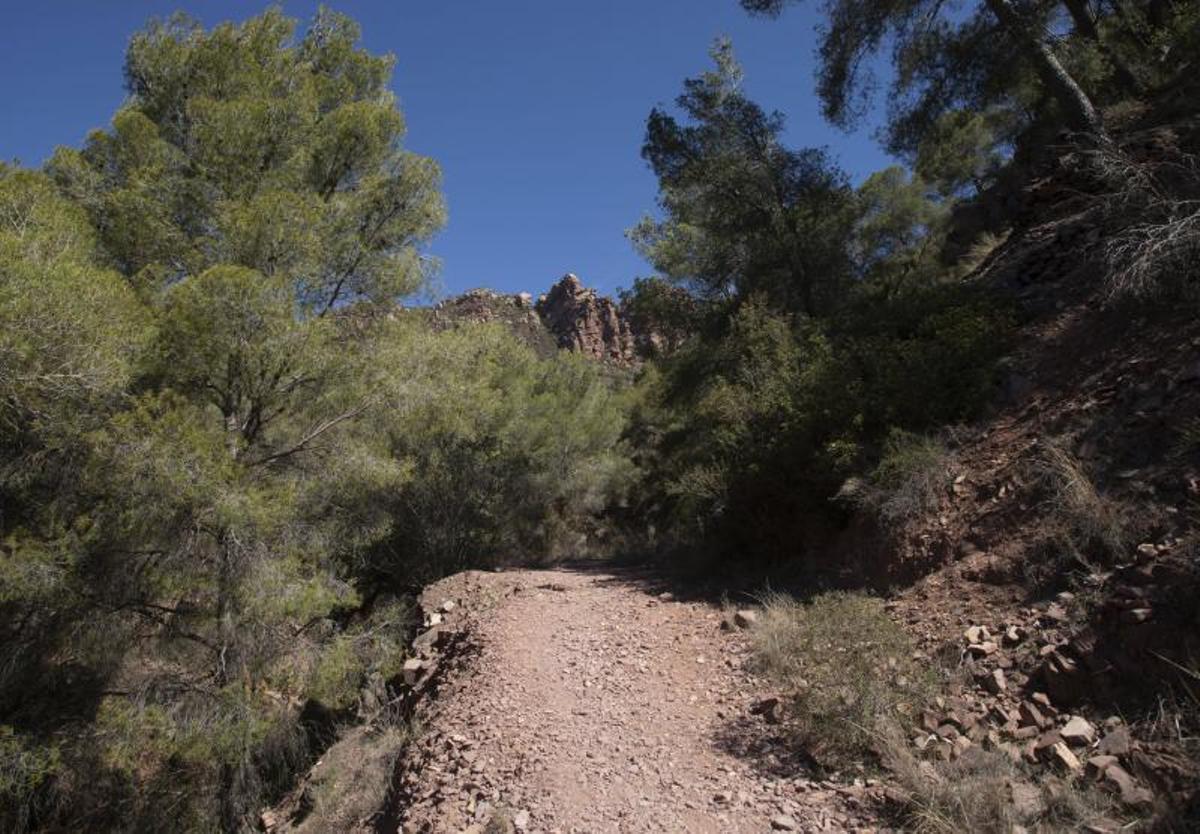 Un sendero hacia al Garbí en la Sierra Calderona.