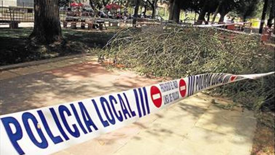 Vila-real inicia una poda urgente en el Llaurador por la caída de ramas