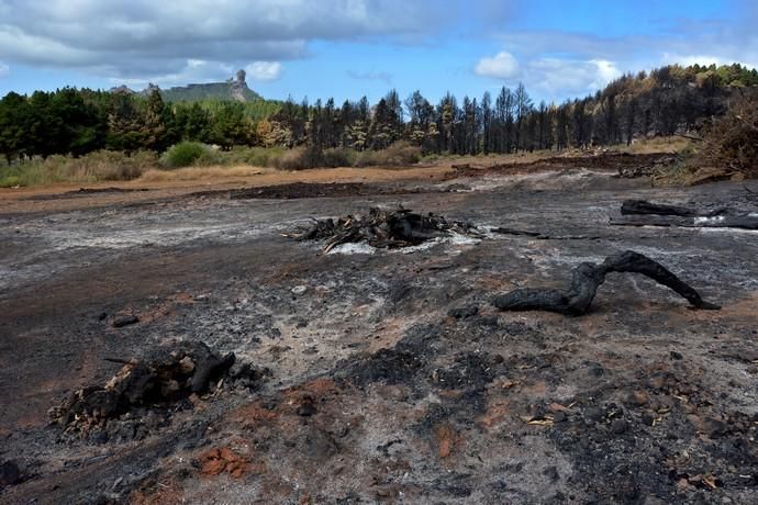 INCENDIO CUMBRE