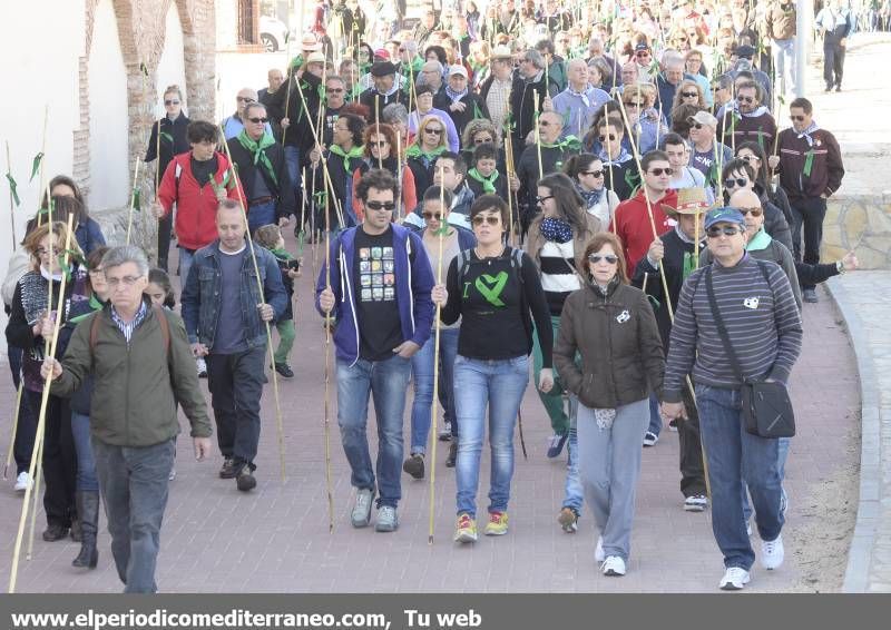 GALERÍA DE FOTOS - Romería Magdalena 2014 (3)