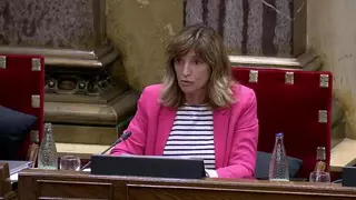 El Parlamento de Cataluña califica de "agresión política" el intento de PP y Vox de que Alicante renuncie al predominio lingüístico valenciano