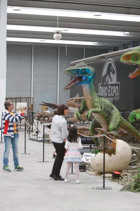 Dinoexpo en Ifeza