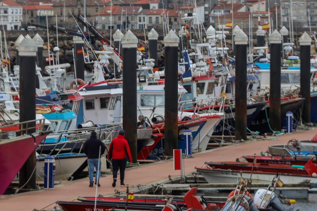 La huella de la borrasca Ingrid en la comarca.