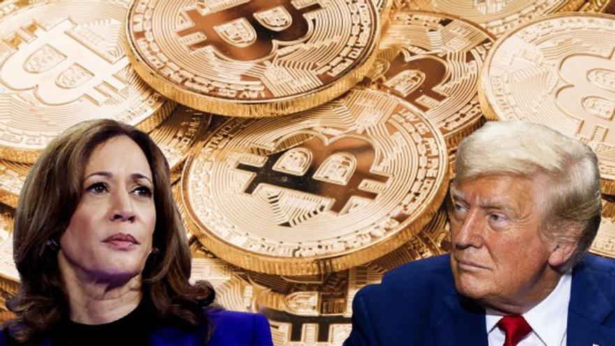 ¿Dinero fácil? Los traders de opciones de Bitcoin apuestan por un máximo histórico en su precio gane quien gane en EEUU