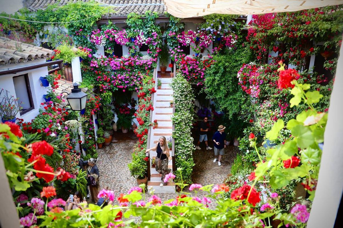 San Basilio 44, uno de los patios de Córdoba más premiados y visitados.