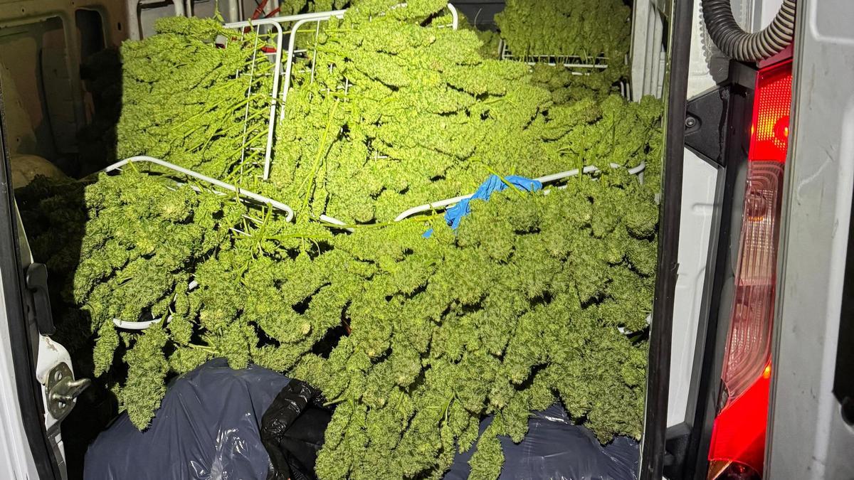 Un furgón embiste a varios coches de Policía con 110 kilos de cogollos de marihuana en su interior en Alcantarilla.