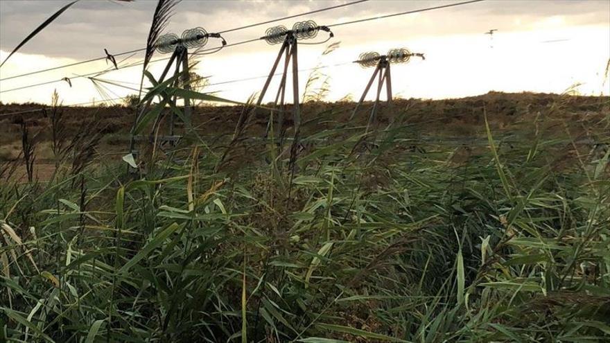 Varias localidades monegrinas sufren los estragos de la tormenta