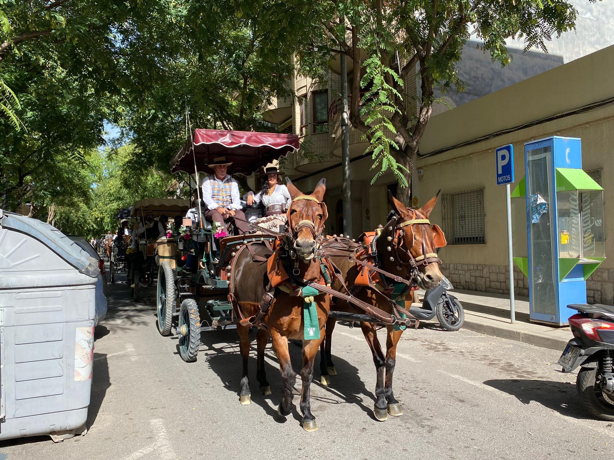 Romería en Honor a la Virgen del Rocío