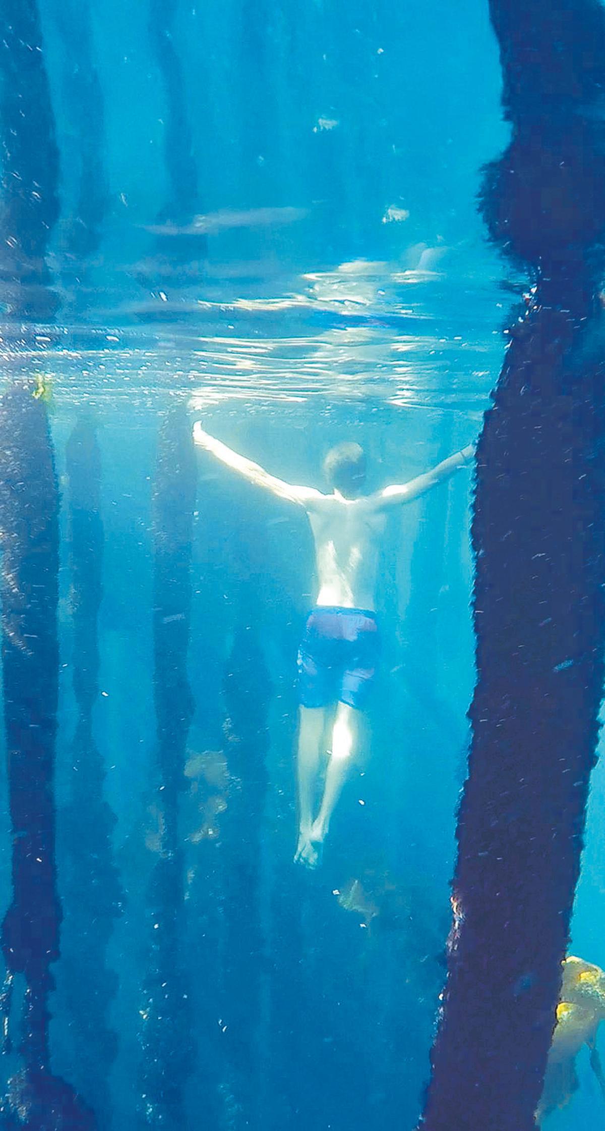 Un joven bucea entre las cuerdas de una batea en la ría de Pontevedra.