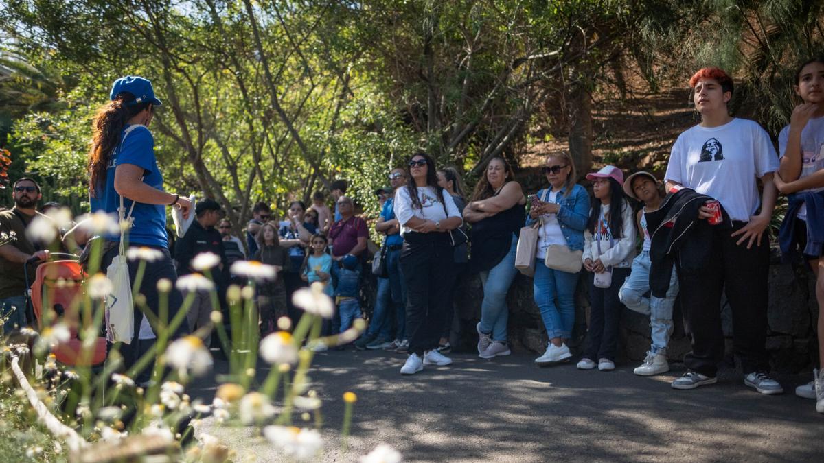 Visita al Palmetum con los integrantes del proyecto de integración social Birmagen