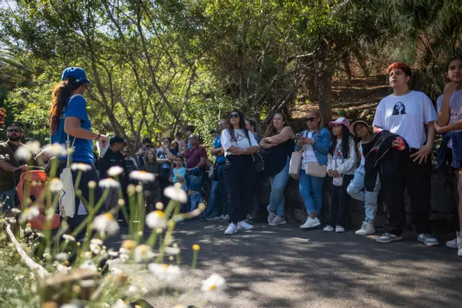 Visita al Palmetum con los integrantes del proyecto de integración social Birmagen