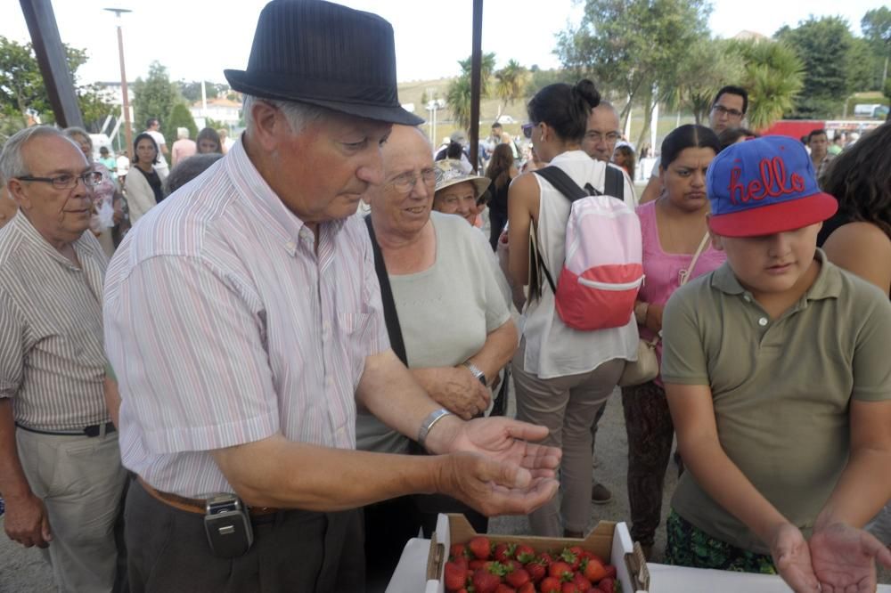 Fiesta de la Fresa 2016 en Eirís