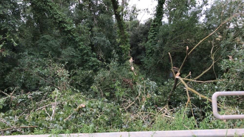 Una forta tempesta de calamarsa i vent afecta part de l'Alt Empordà