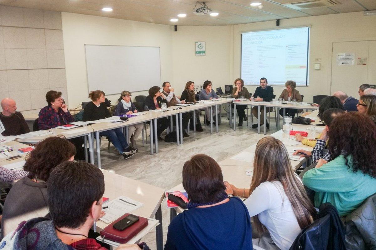 181106-taula-capacitats-diverses-i-accessibilitat 181106-taula-capacitats-diverses-i-accessibilitat