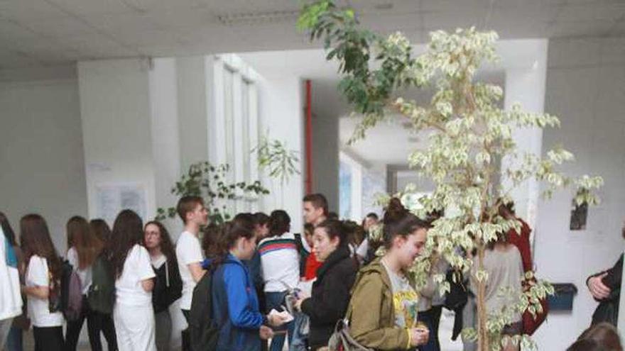 Estudiantes, en el campus universitario de Ourense. // I.Osorio