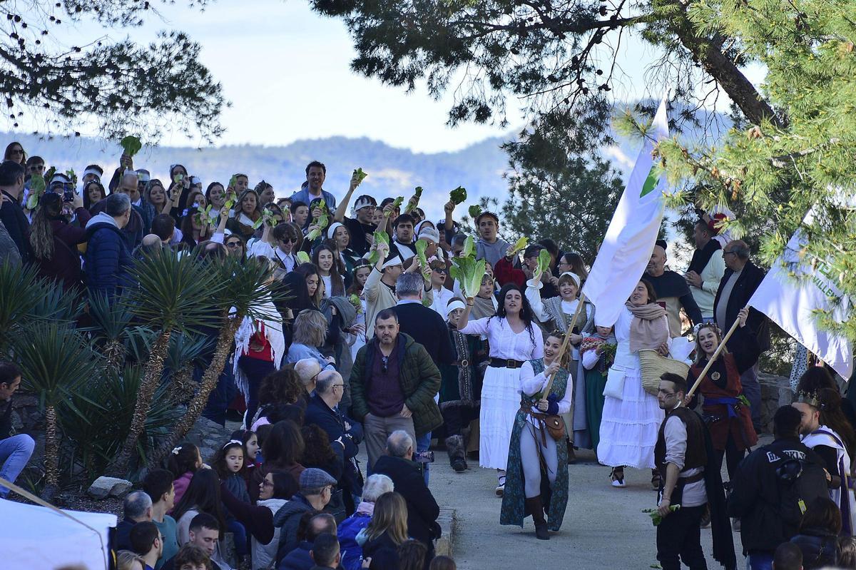 Lechugas al cielo para una batalla campal en Villena
