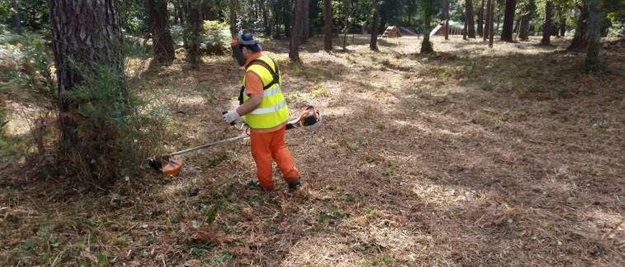 Operarios desbrozando en el Monte Central de A Toxa. // Muñiz