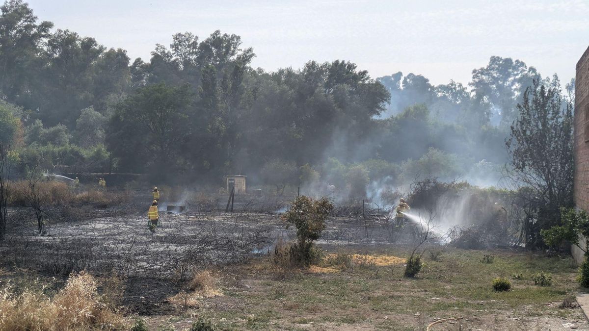 Los bomberos trabajan en el lugar del incendio en Palma del Río.