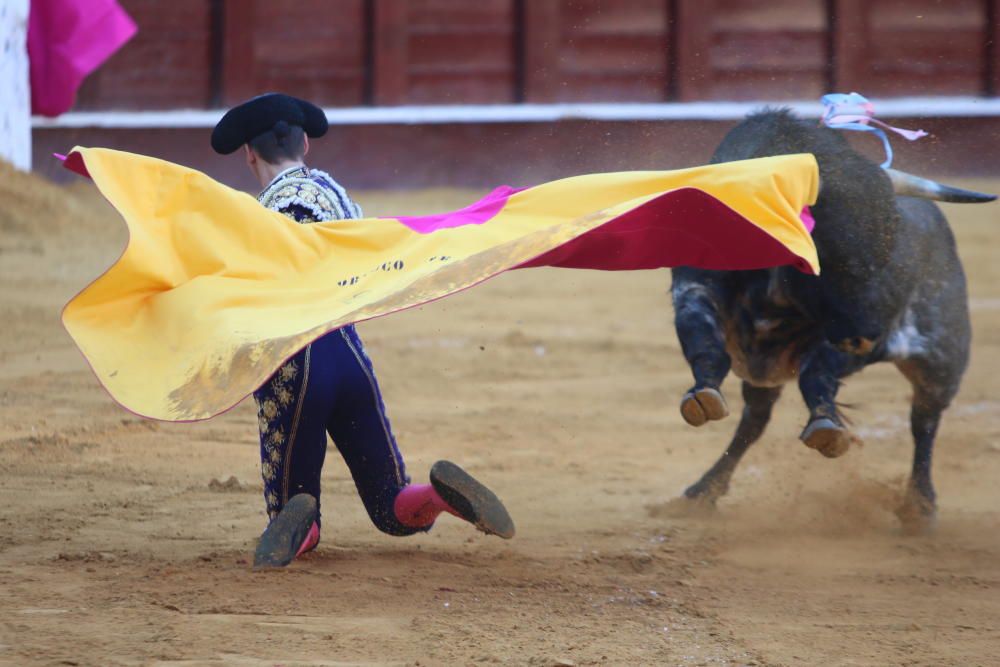 Toros | Novillada de la Feria Taurina de 2018