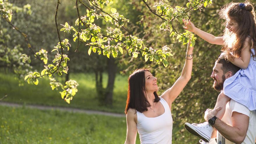 Imatge d&#039;una família jugant amb els arbres