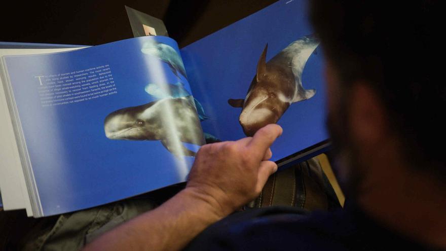 Más de 50 fotografías submarinas rinden homenaje a la joya natural que duerme bajo las aguas de Canarias