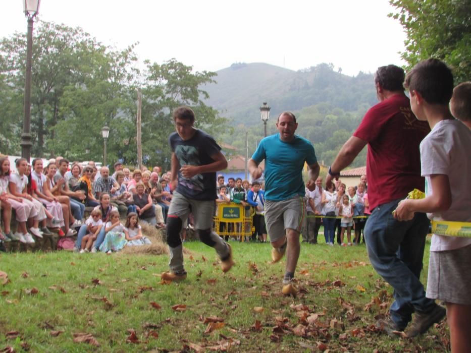 Fiestas del Segador de Benia de Onís