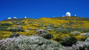 Els telescopis tanquen a causa del volcà de La Palma