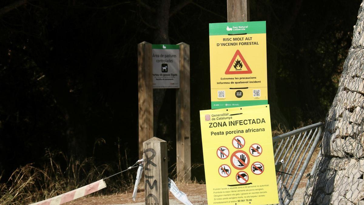 Cartells informatius sobre les restriccions relatives a la pesta porcina africana i al risc elevat d'incendis a Collserola