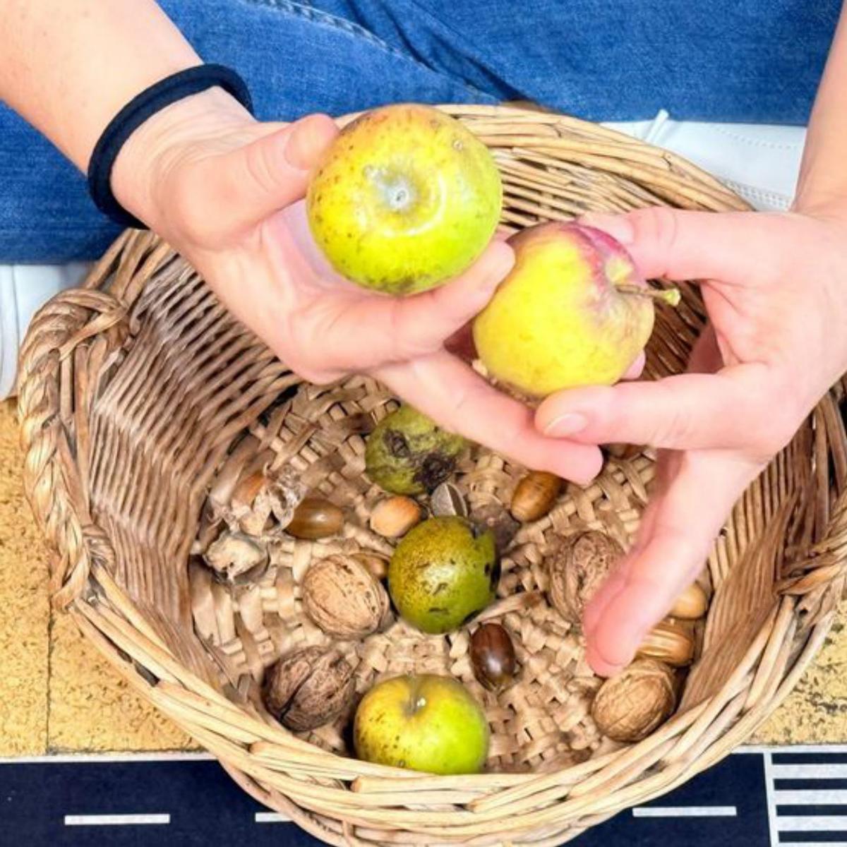 Elena Rodríguez, mayestra del colexu de Sabugo, con el grupu de Llingua Asturiana de 3 años.  |