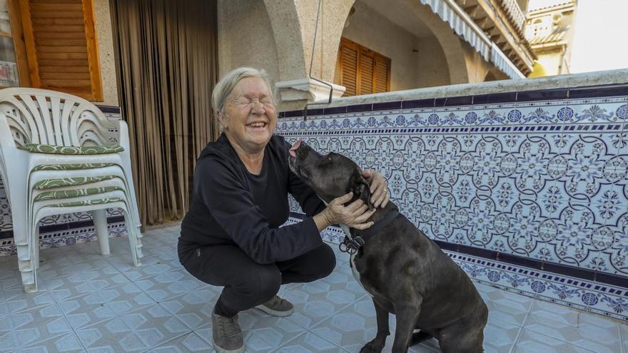 La heroína de Santa Pola: una perra avisa y salva la vida a sus dueños tras un incendio en plena noche