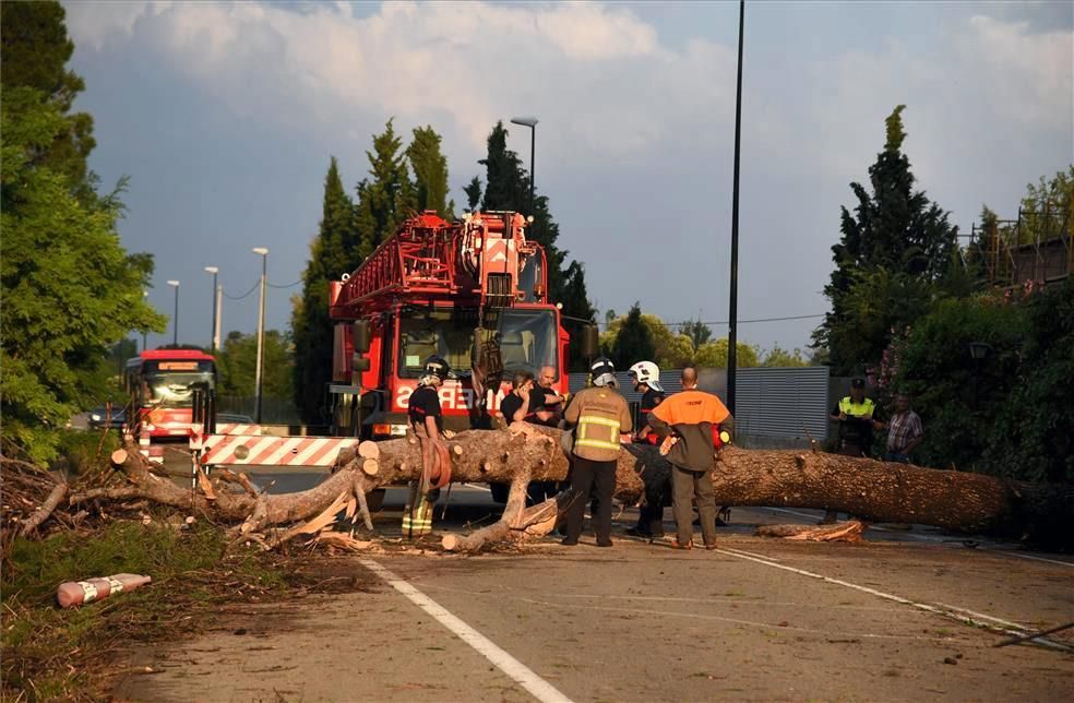 Efectos del viento huracanado en Zaragoza