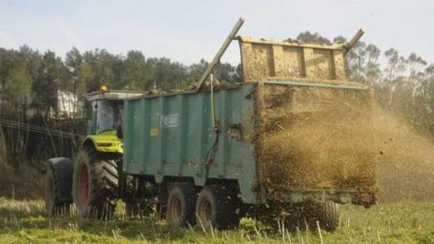 Un tractor esparce abono en una parcela.