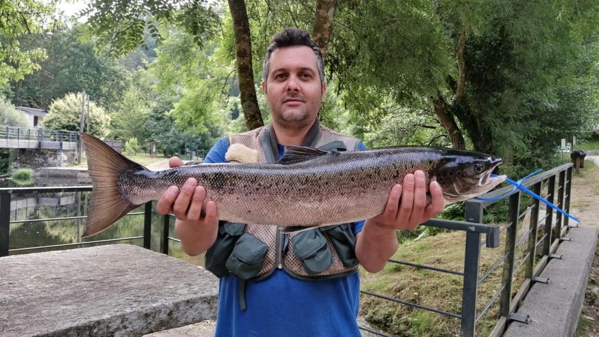 El Mandeo da su segundo salmón de la temporada