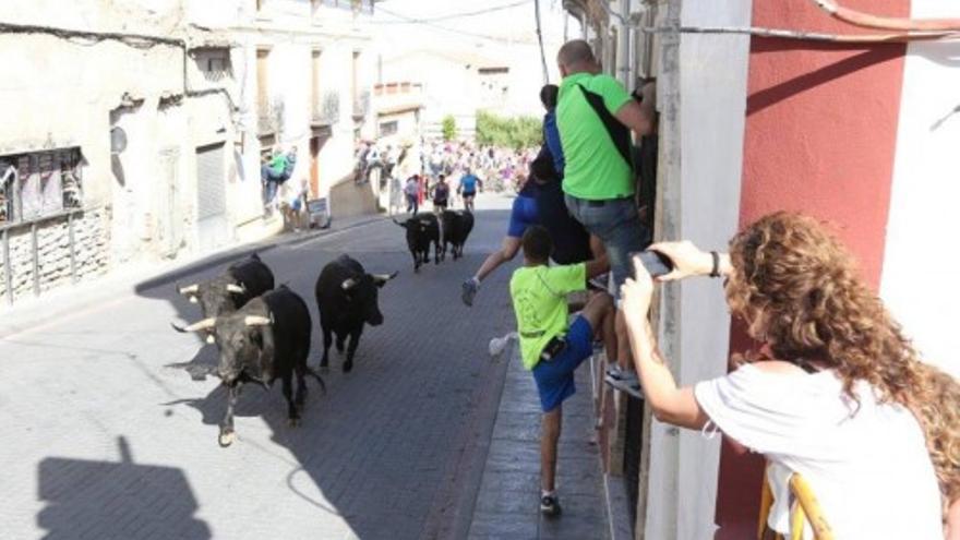 Encierro Infantil de las Fiestas de Mortalla