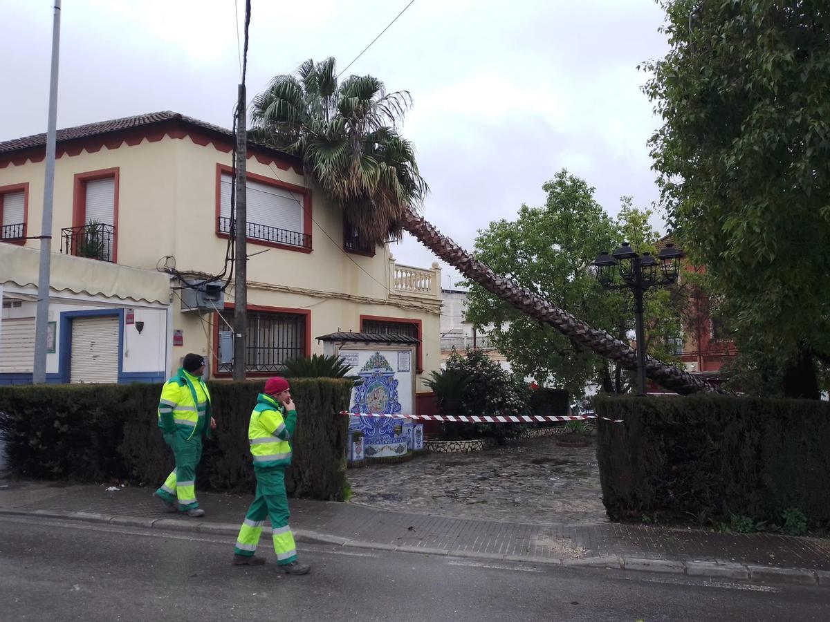 Incidencias en Rute.