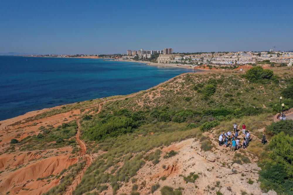 El Ayuntamiento de Orihuela ha invertido 32.000 euros en adecuar un sendero de 1,4 kilómetros en la microrreserva de flora de Punta de La Glea y ha presentado guía con las 56 especies de flora, muchas