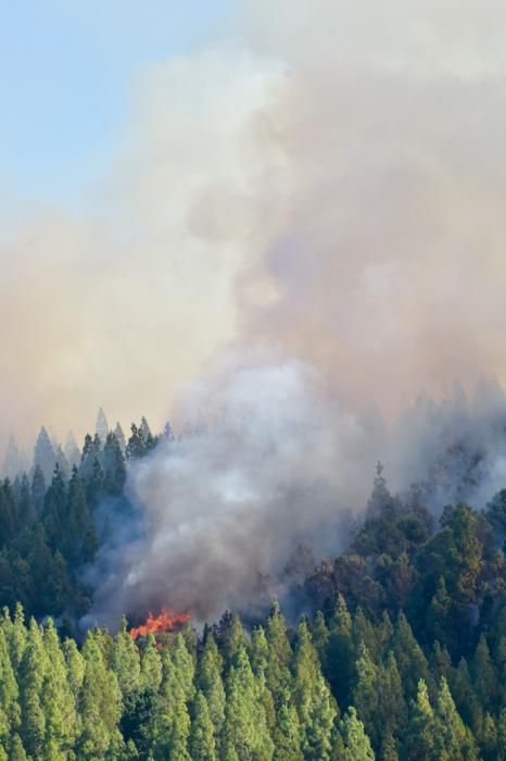 10-08-2019 ARTENARA. Incendio en la cumbre de Gran Canaria  | 10/08/2019 | Fotógrafo: Andrés Cruz