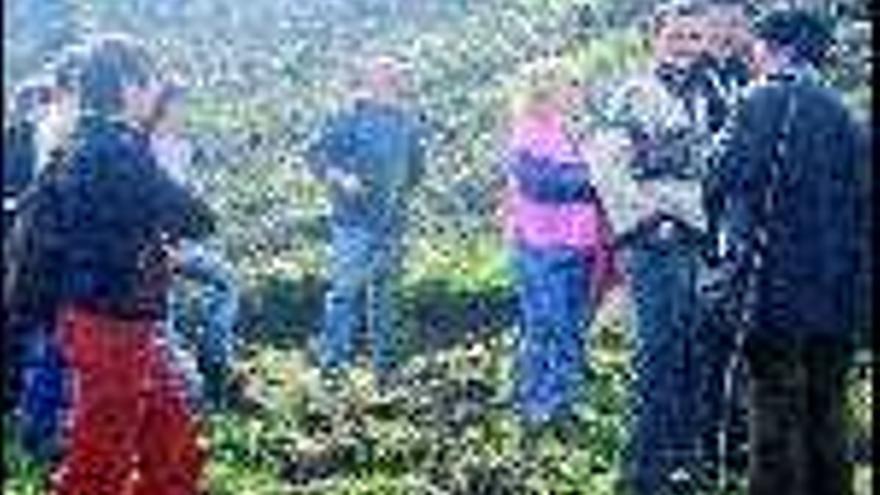 El delegado provincial de Medio Rural, ayer, con vecinos de Barcala y el jefe provincial de Montes, al pie de la zona de Castrovalente que se está reforestando. / bernabé / Patricia F.