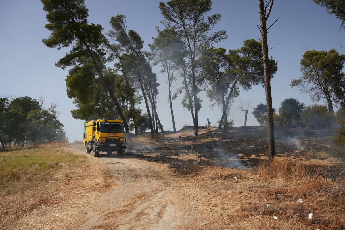 Imagen del incendio en la zona del Cerro del Carambolo en Camas (Sevilla).