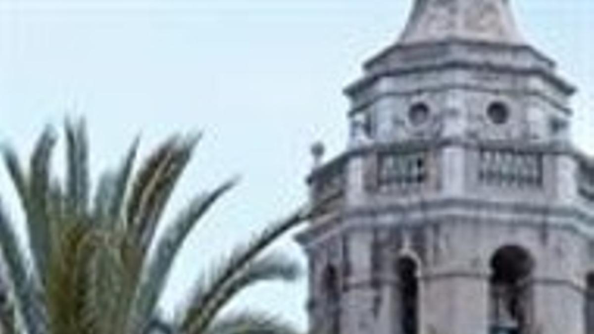 Jardineros municipales de Sitges revisan una palmera, la semana pasada.