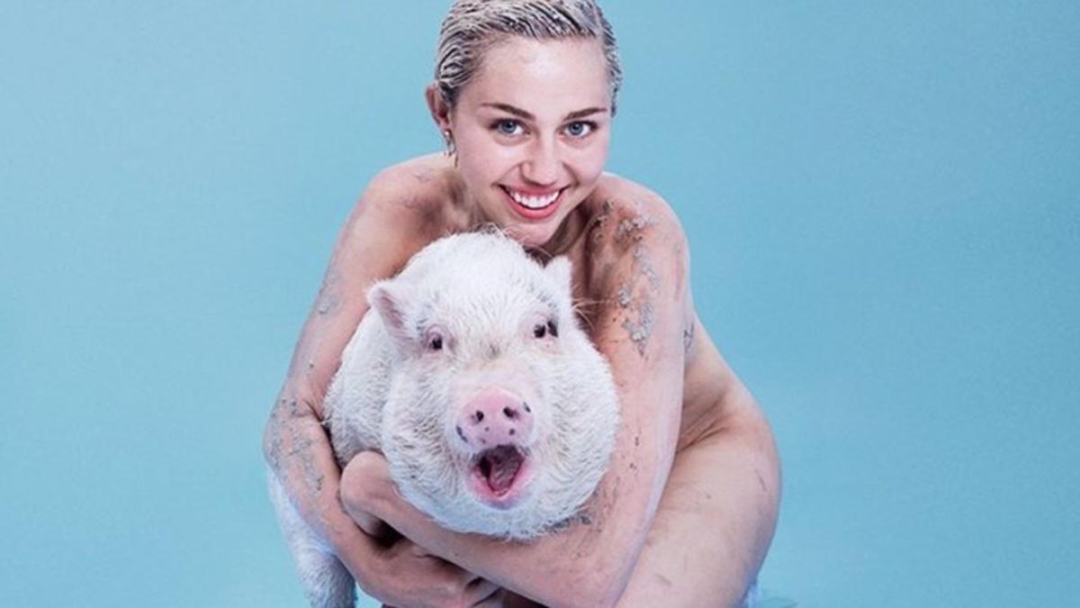 La despedida emotiva de Miley Cyrus a su cerda, que acaba de morir