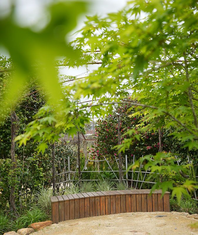 A Paz entre o Homem e a Natureza