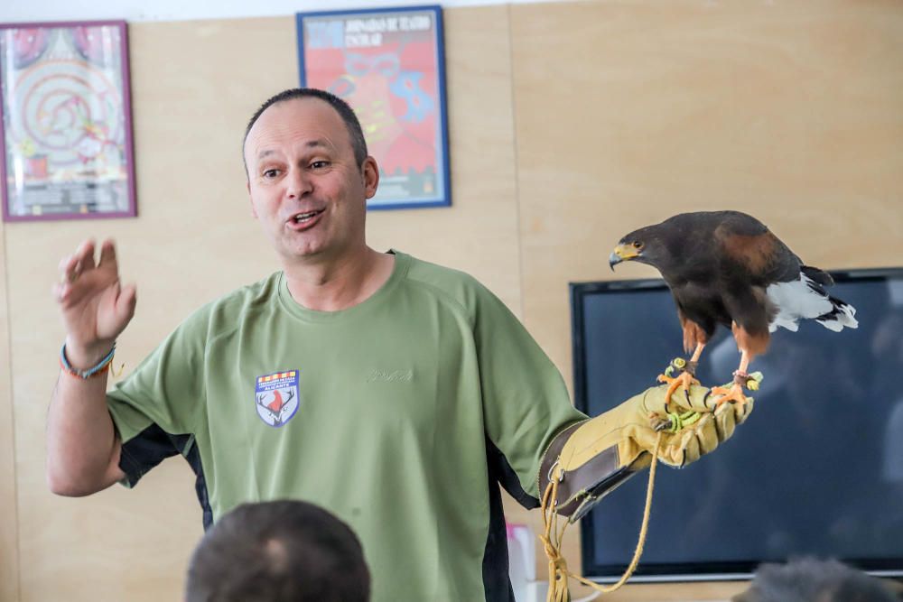 Aves rapaces forman parte de un programa educativo